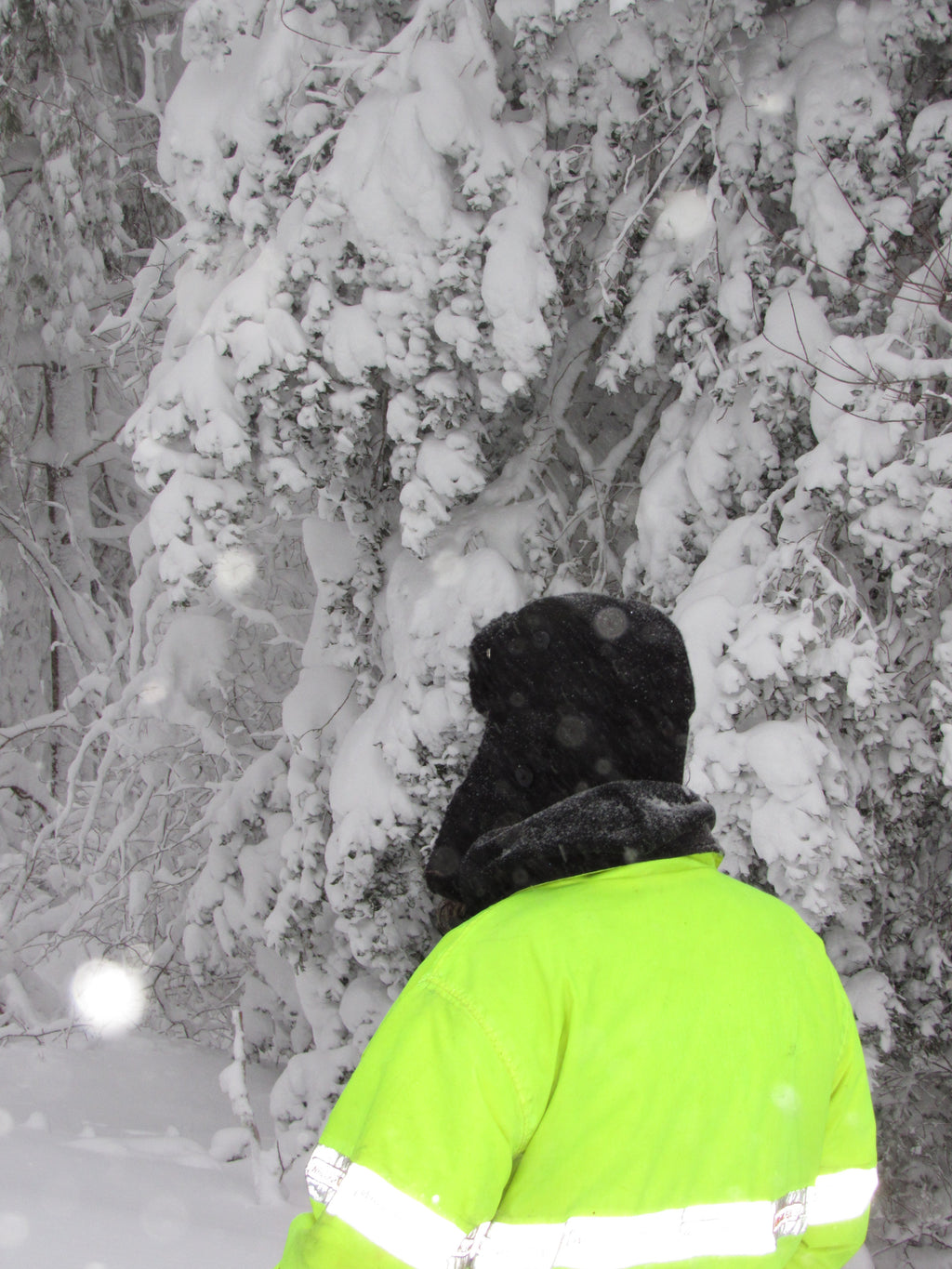 black wool scrapper hat