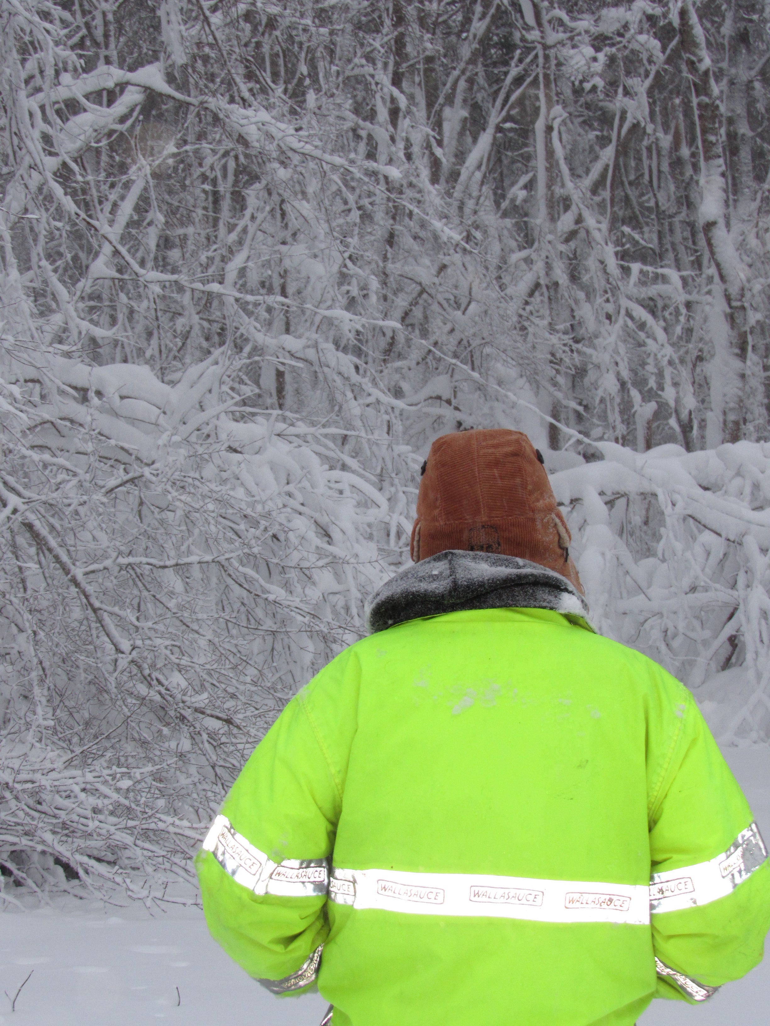 brown corduroy scrapper hat