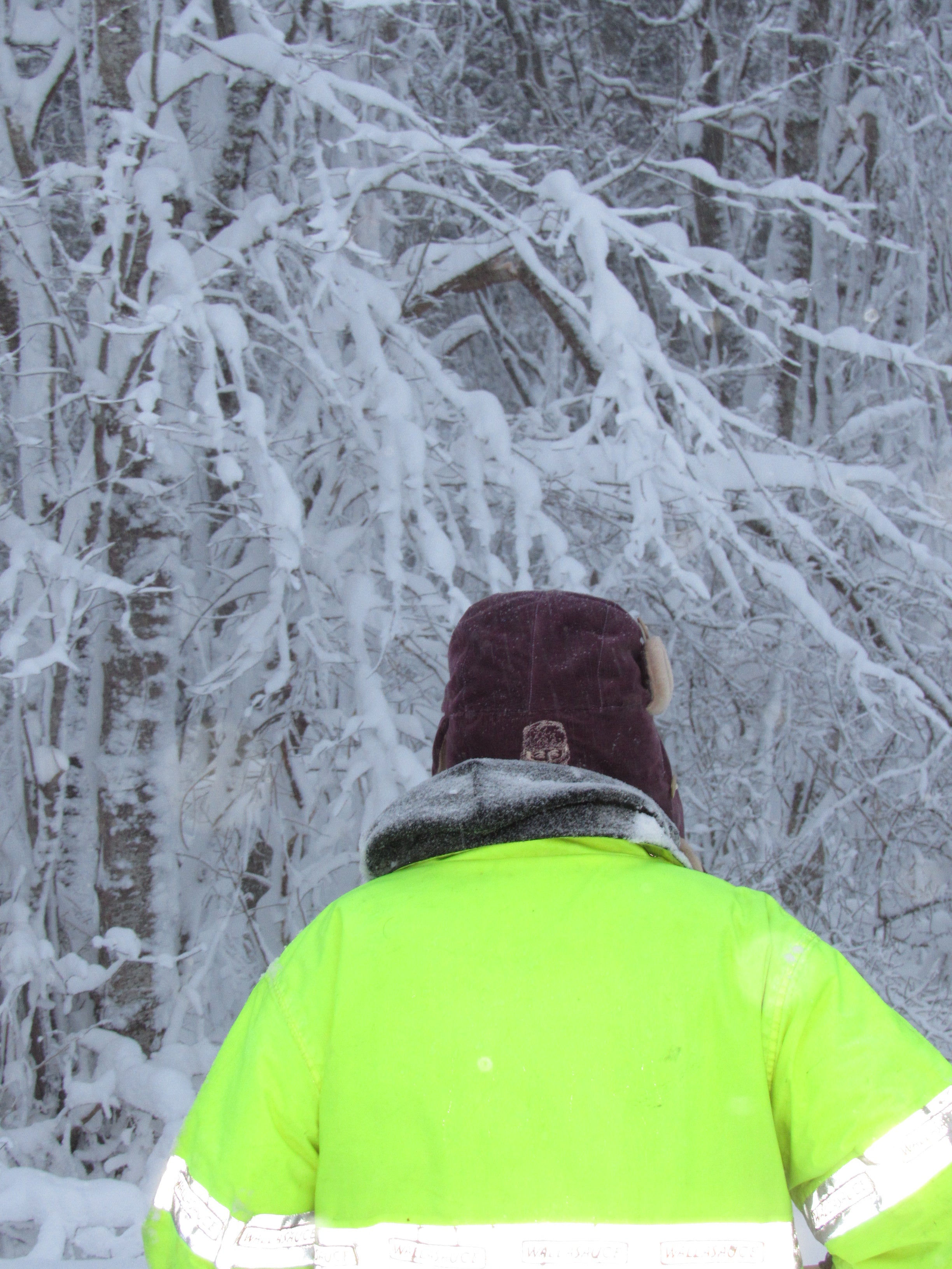 purple corduroy scrapper hat