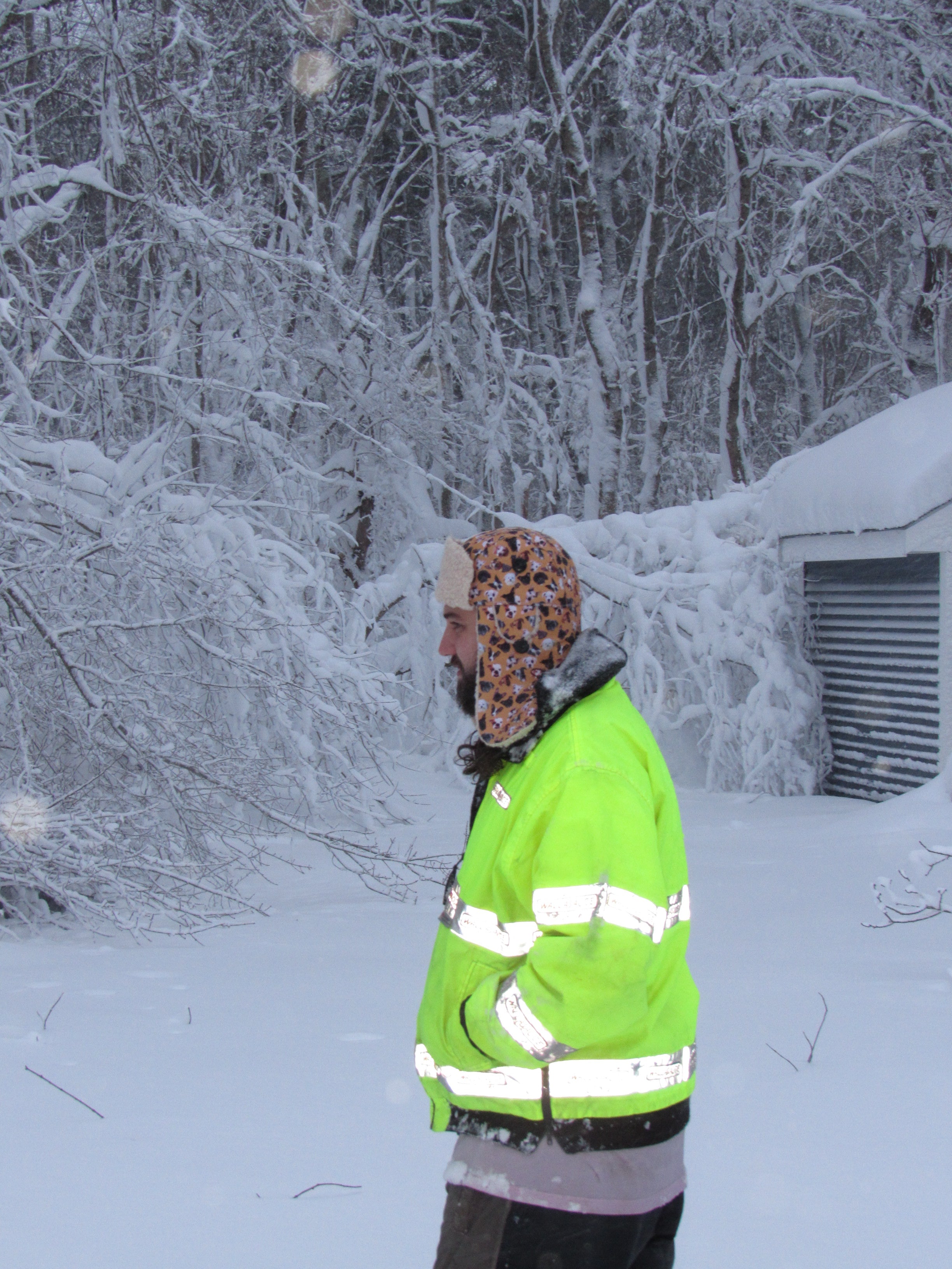 dog scrapper hat