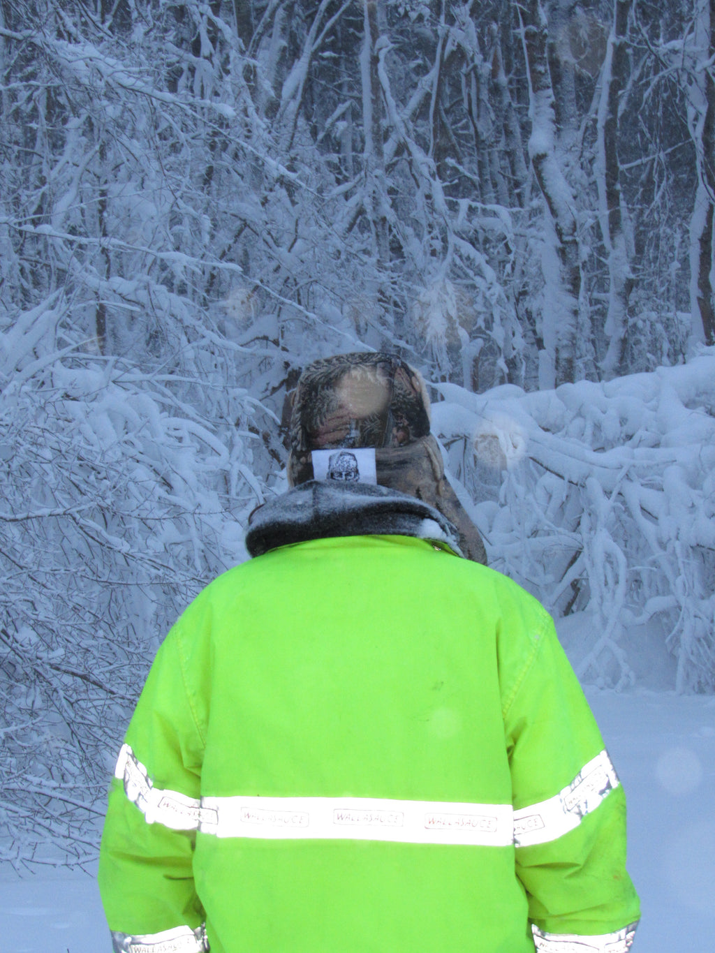 cabin fever scrapper hat