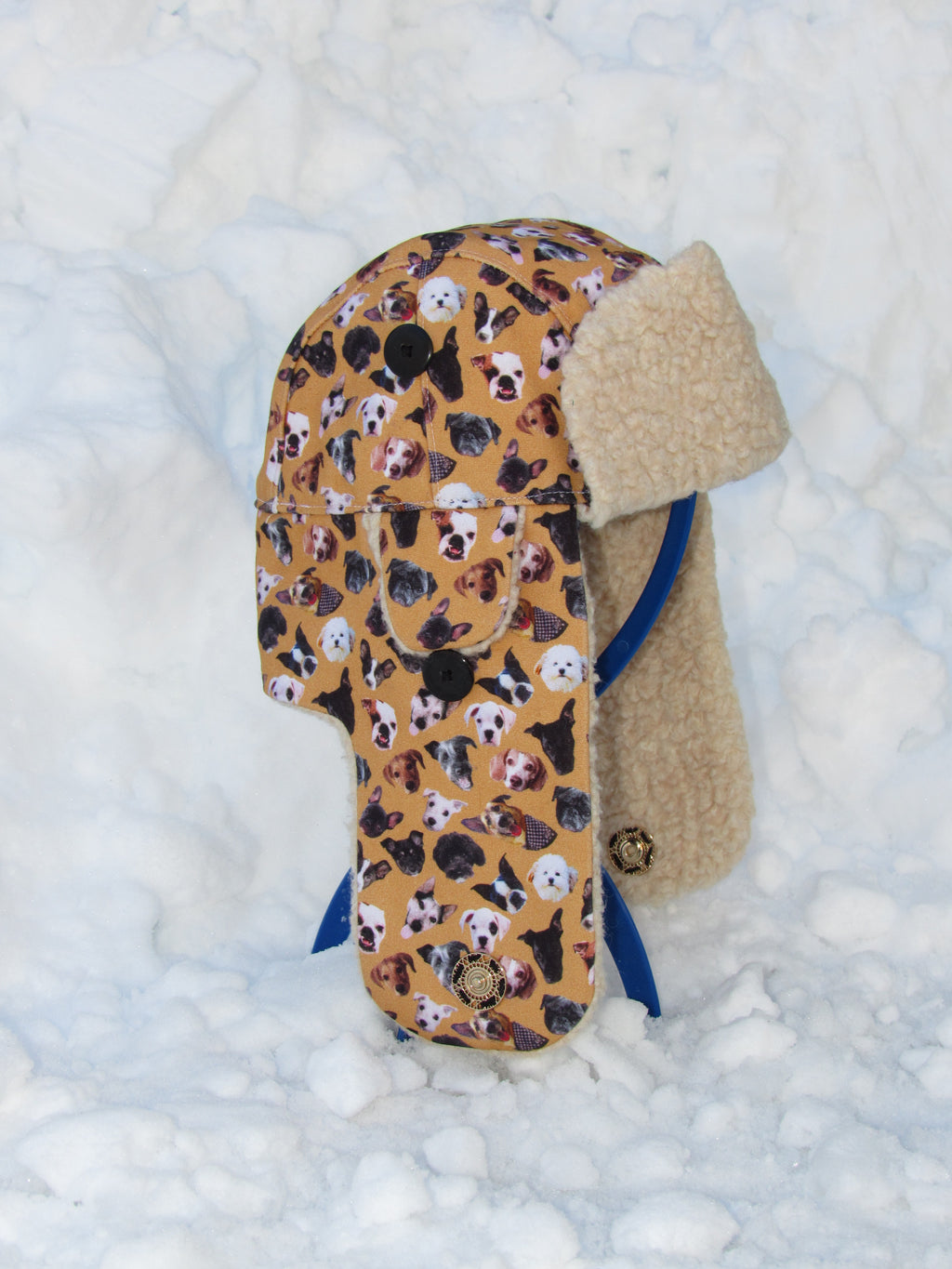 dog scrapper hat