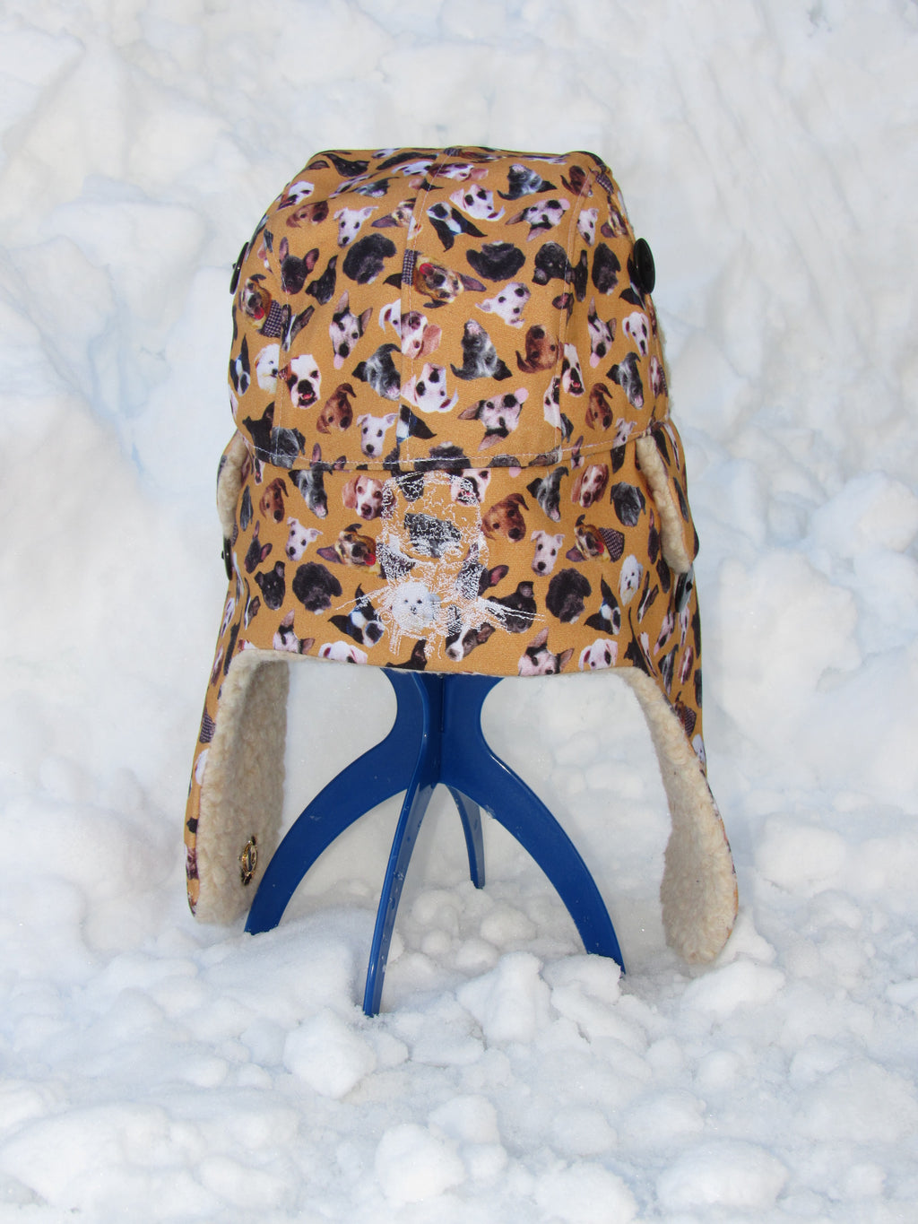 dog scrapper hat