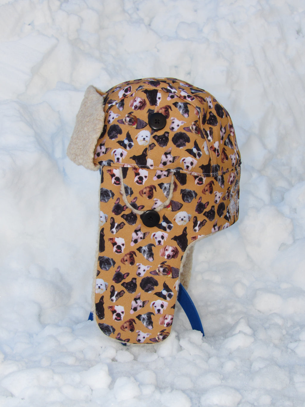 dog scrapper hat