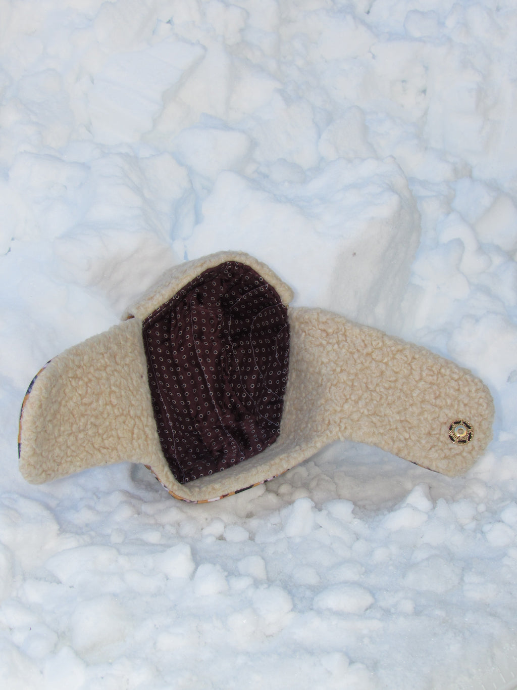 dog scrapper hat